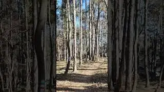 #srbija #fruskagora