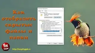 💥Как отобразить скрытые файлы в Windows 10💥