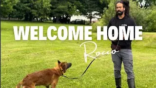 End of Watch Canine Foundation - Welcome Home Retired Police K9 Rocco