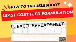 Troubleshooting least cost feed formulation file
