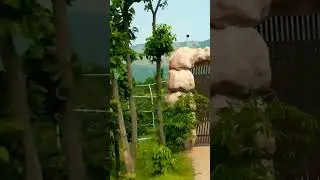 Rajgir zoo safari
