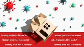 Big housing market update (Sacramento Fall 2020)