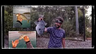 I CAME FISH WITH EVERY CAST. LEAK / KUZU LUGS ARE SMALL BUT VERY STRONG [4K] 