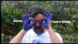 Guard - color by numbers