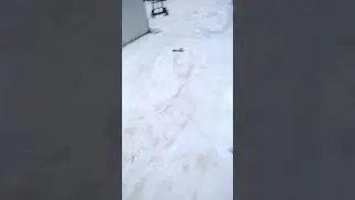 забрали донора бесплатно