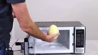 Giant Rea Egg