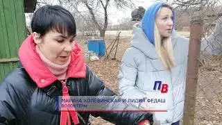 КОЖА ДА КОСТИ