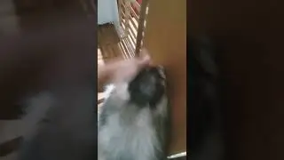 kkkkkk
