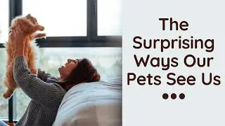 The Surprising Ways Our Pets See Us