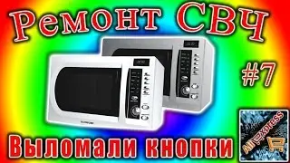 Ремонт СВЧ 07 Rainford RMW 171DG Тараканы выломали кнопки.