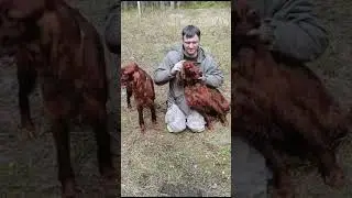 Объятия. часть 2.