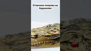 Удивительные закупки