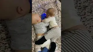 Twins/ Двойняшки 
