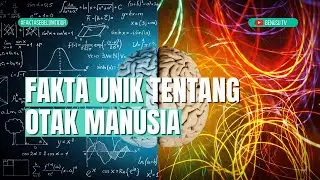 fakta unik tentang otak manusia