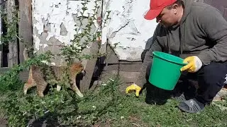 Такие витамины нравятся всем. Продали первых.