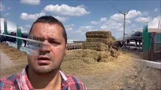 Продолжение О молочной ферме «Турар»