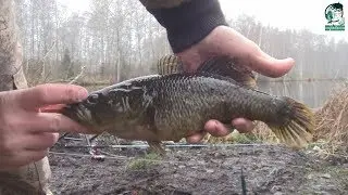 Ротан.  Закрытие сезона мокрой воды