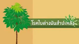 โรคใบด่างมันสำปะหลัง