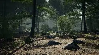 MAE Oak Forest - Cinematic | Unreal Engine 4