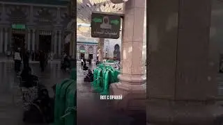 А вы знали, что в мечети Пророка ﷺ есть справочные центры на разных языках?