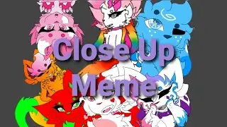 Close Up Meme (kittydog) (flipaclip)