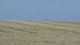 Набирание  грейхаундом кондиций перед сезоном