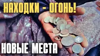 Свежая распашка - море находок! Новый знакомый КАМРАД удивил!