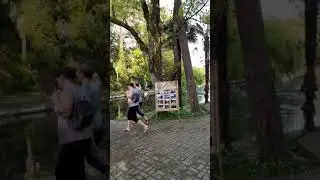 Жильё в Новом Афоне и в пригороде. Абхазия +79407769561