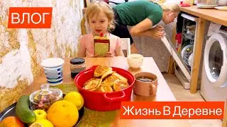 Купили Дом В Деревне/ Варенье Из Одуванчиков/ Добрый Сосед/Новый Забор/ Посадили Картошку/