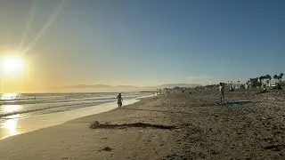 Venice Beach Los Angeles live