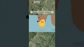 😬I Found a STRANGE 