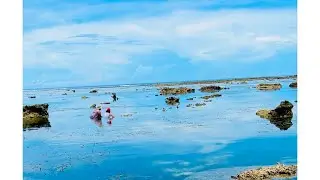 Samar & Leyte Travel Guide  Uncover 2024