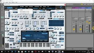 install the presets Sonic Academy ANA Soundbank Vol 2