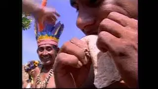 DVD ME LEVA BRASIL PARTE 3 Fantástico