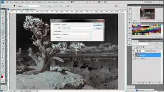 Frogman's Photoshop Tutorials: Infrared Photo Effect