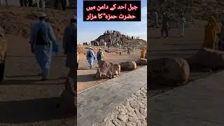 Mizar Hazrat Hamza RA. /Jabal uhad #youtubeshorts  #islamic #shotrsfeed