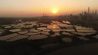 Sunset Along Shenzhen River 深圳河日落 | Parrot ANAFI