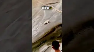 An Unexpected Hero! 😱🐾