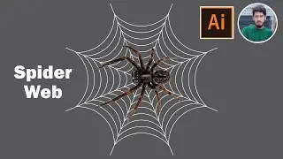 How To Draw A Spider Web In Adobe Illustrator cc-Adobe Illustrator Tutorials for Beginners