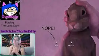 Bye bunny