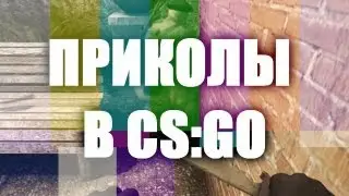 ПРИКОЛЫ В CS:GO