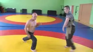 С А О Стрела  НЕ для спорта  Просто основы