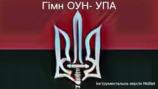 Гімн ОУН-УПА (скрипкова версія) | Зродились ми великої години | Nidilet