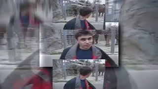 YTPMV Me at the zoo Scan v5