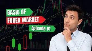 Forex Trading  Global Market Insights