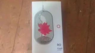 МОЙ обзор на BQ fresh 5533