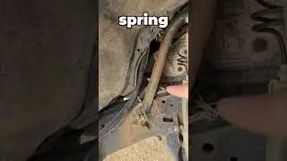 BIRD in My Truck - Gross 