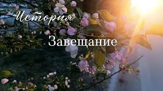 История. Завещание