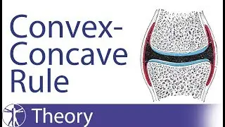 Kaltenborn Concave-Convex Rule