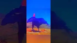 Самые сильные орлы.
